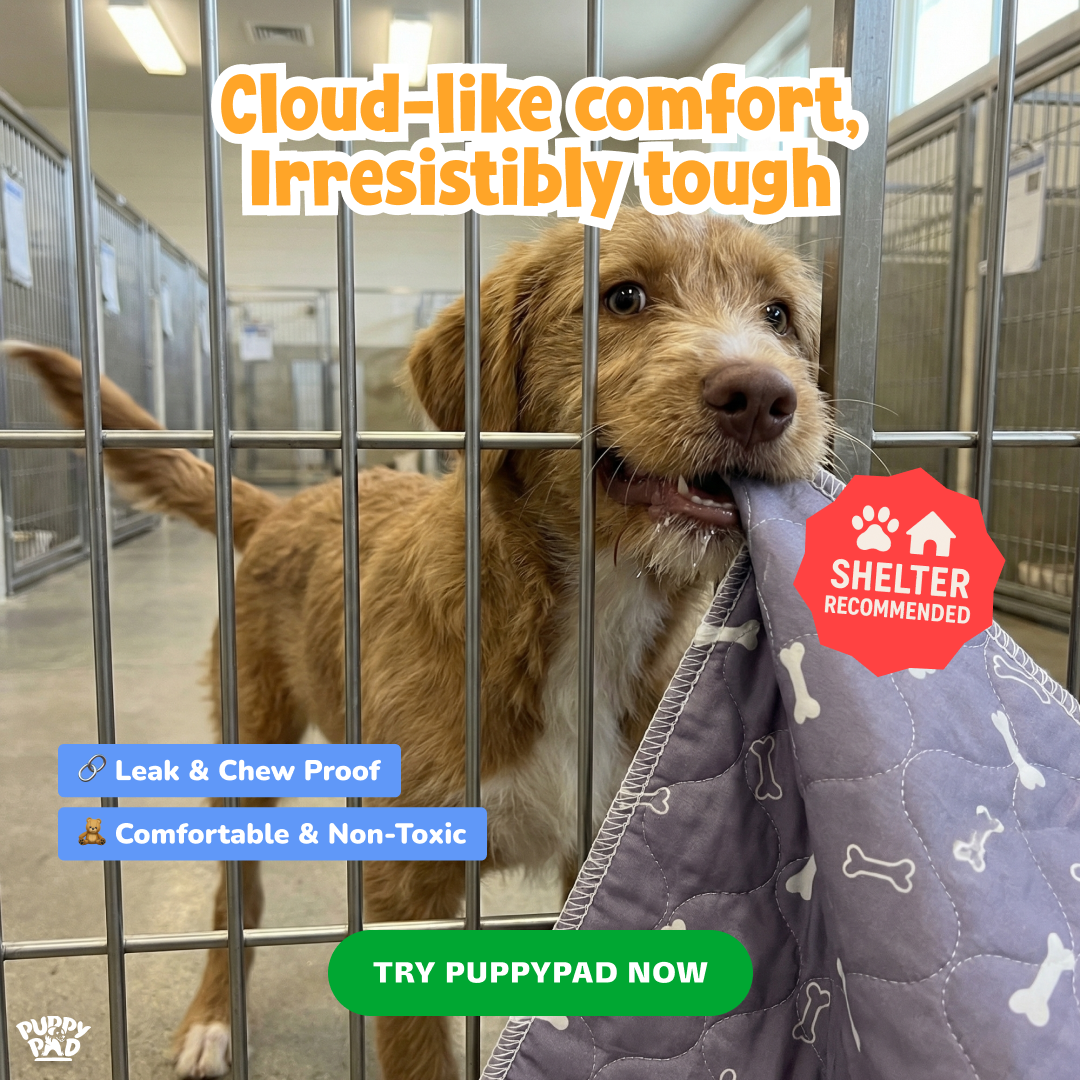 PuppyPad Facebook ad
