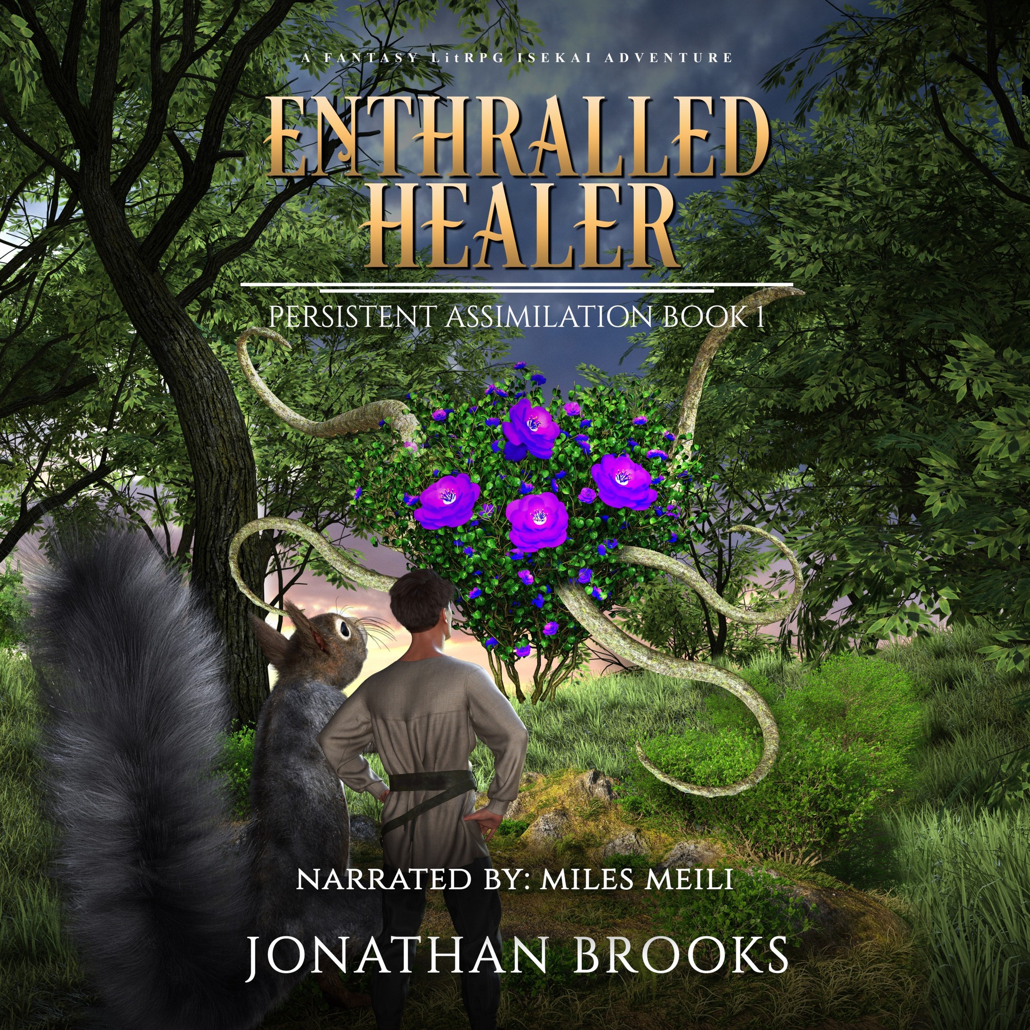 Litrpg and Dungeon Core by Jonathan Brooks Facebook ad: Enthralled Healer