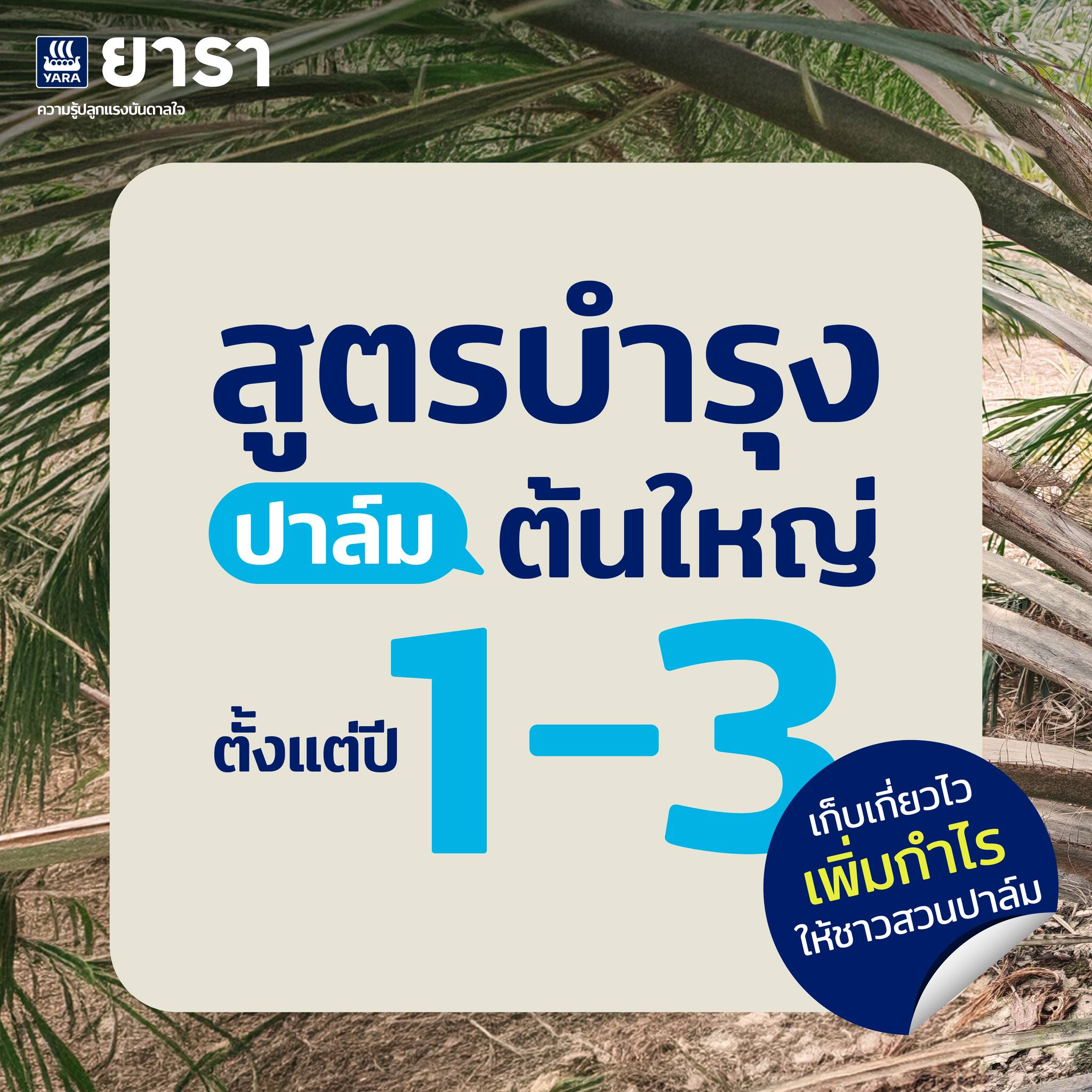 ยารา ประเทศไทย - Yara Thailand Facebook ad: ใส่ปุ๋ยให้ถูกวิธีกำไรดีเห็นๆ…