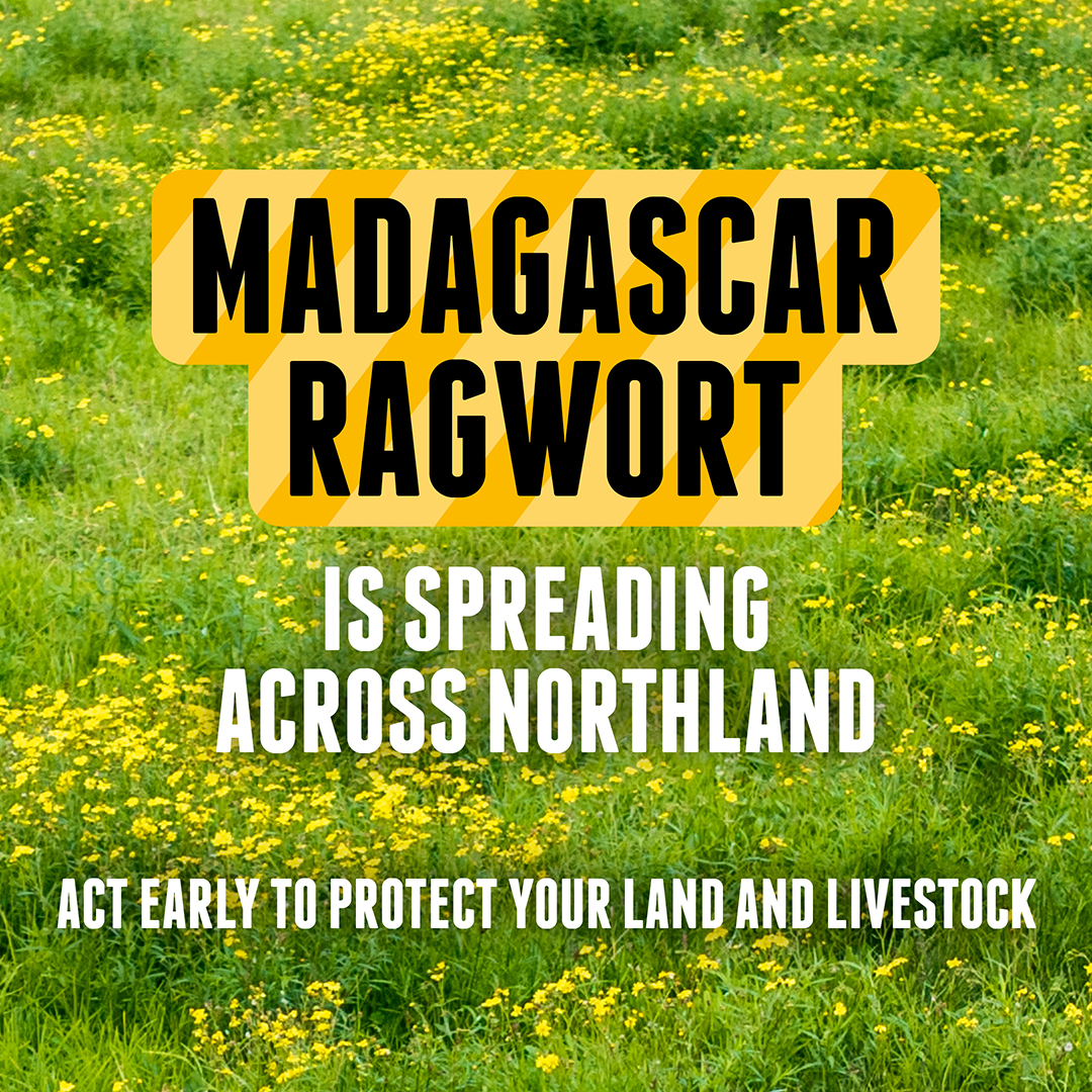 Northland Regional Council Facebook ad: Protect your land & stock