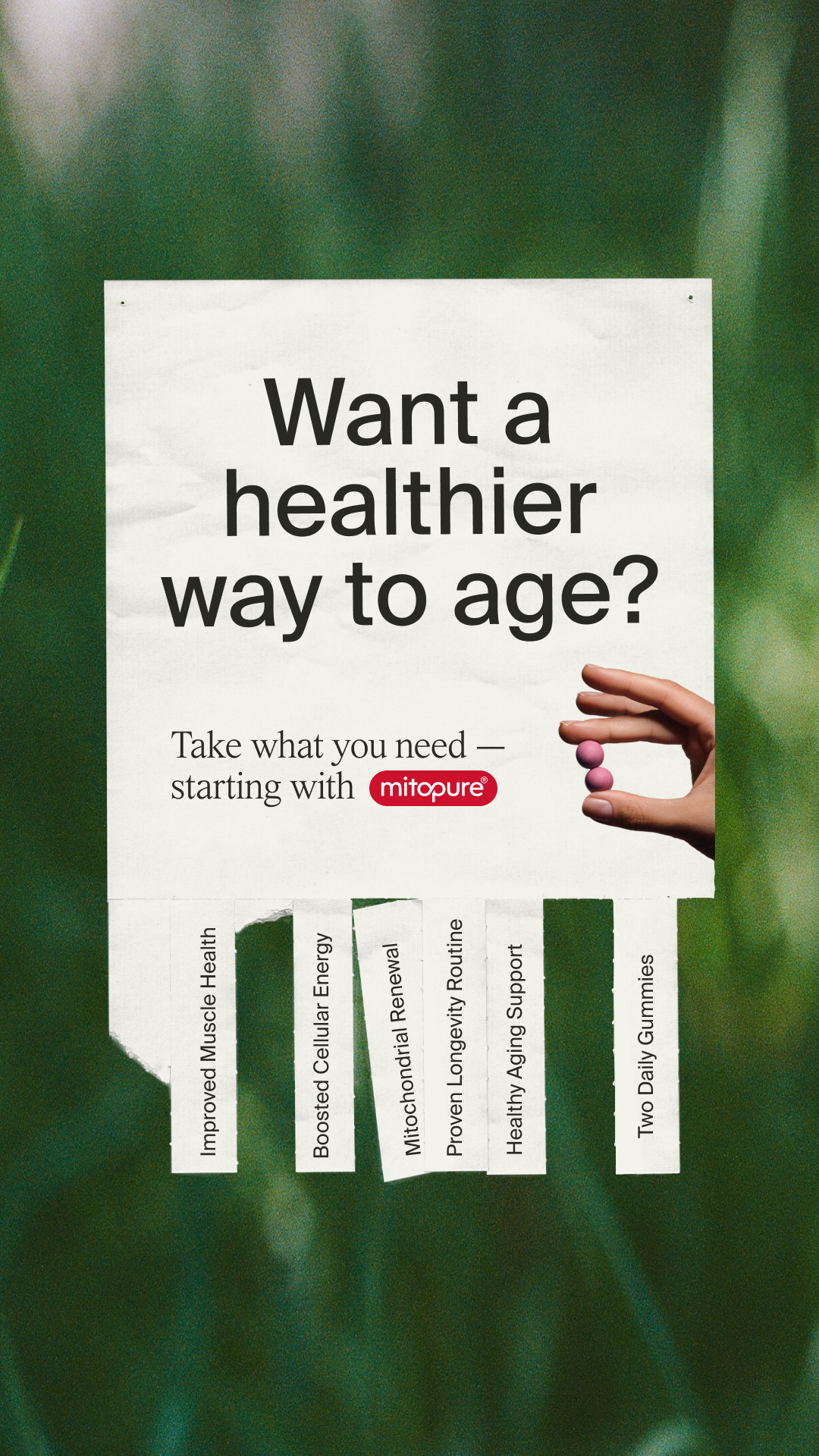 Timeline Longevity Facebook ad