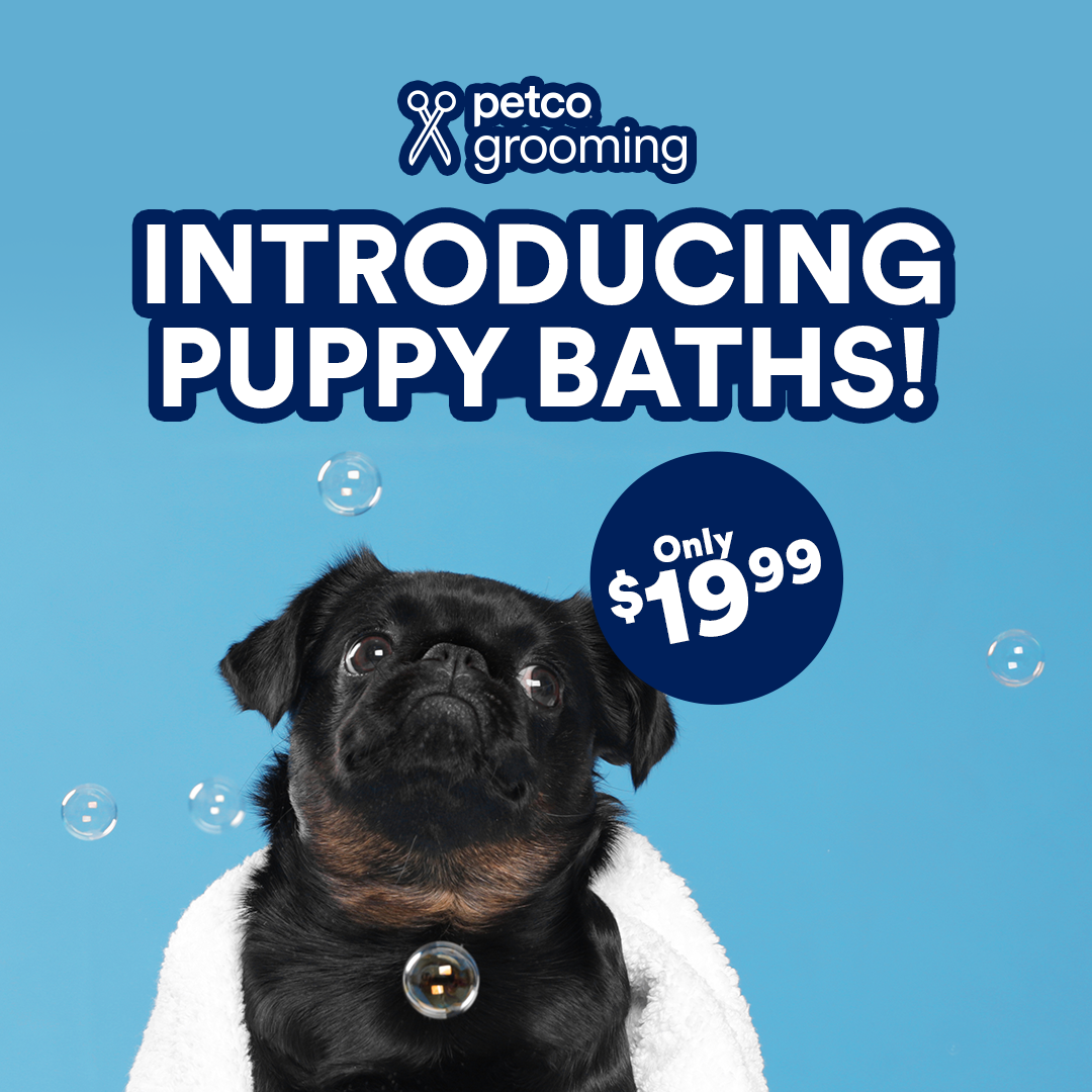 Petco Facebook ad