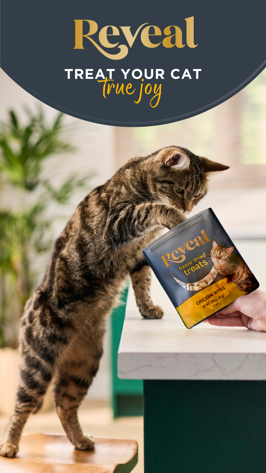 Reveal Pet food Facebook ad