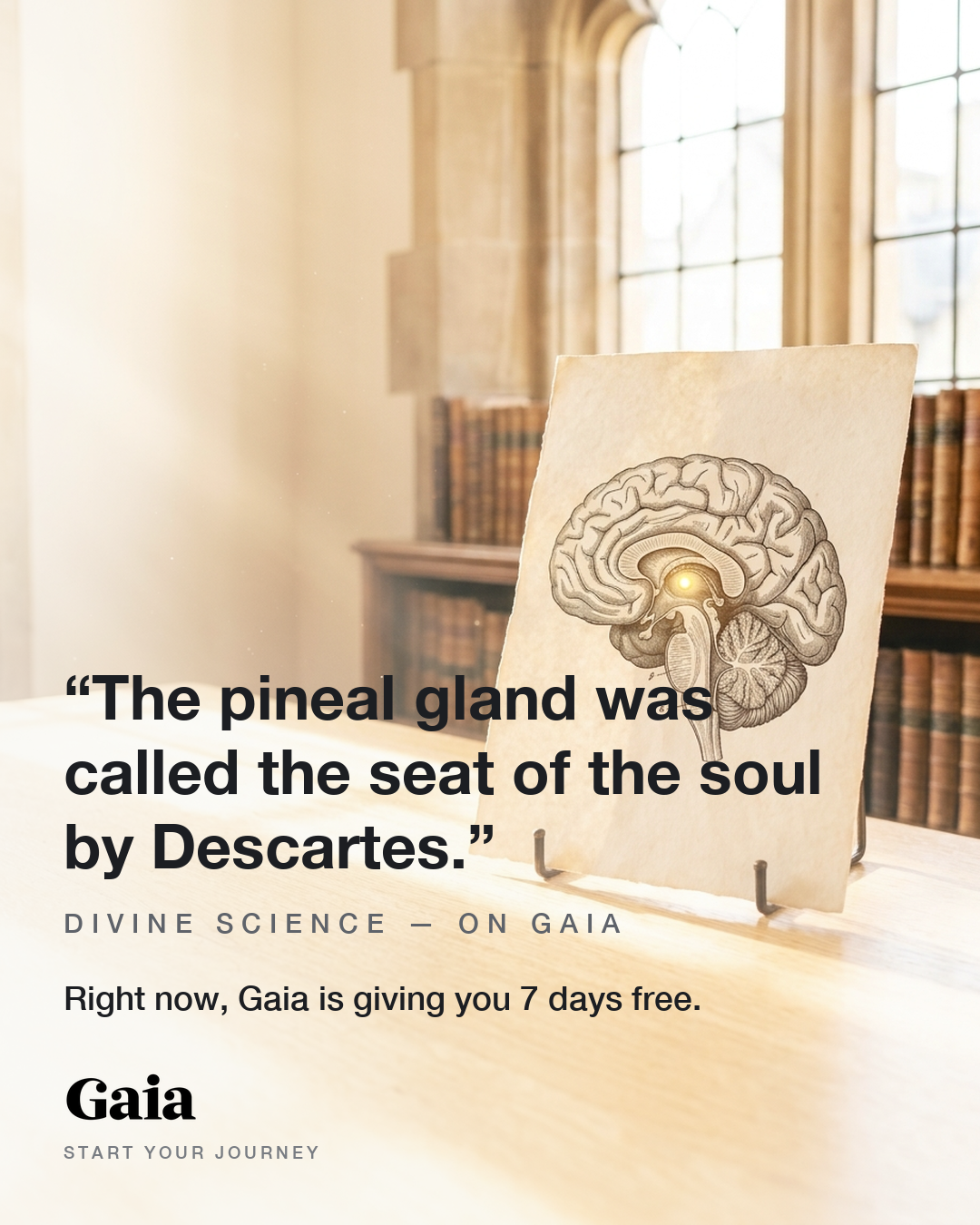 Gaia Facebook ad