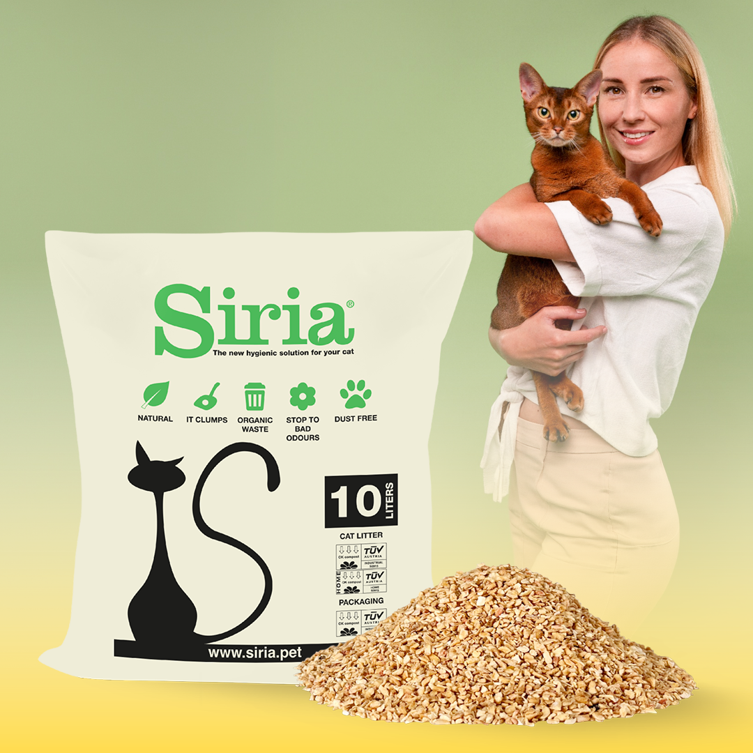 Siria Facebook ad