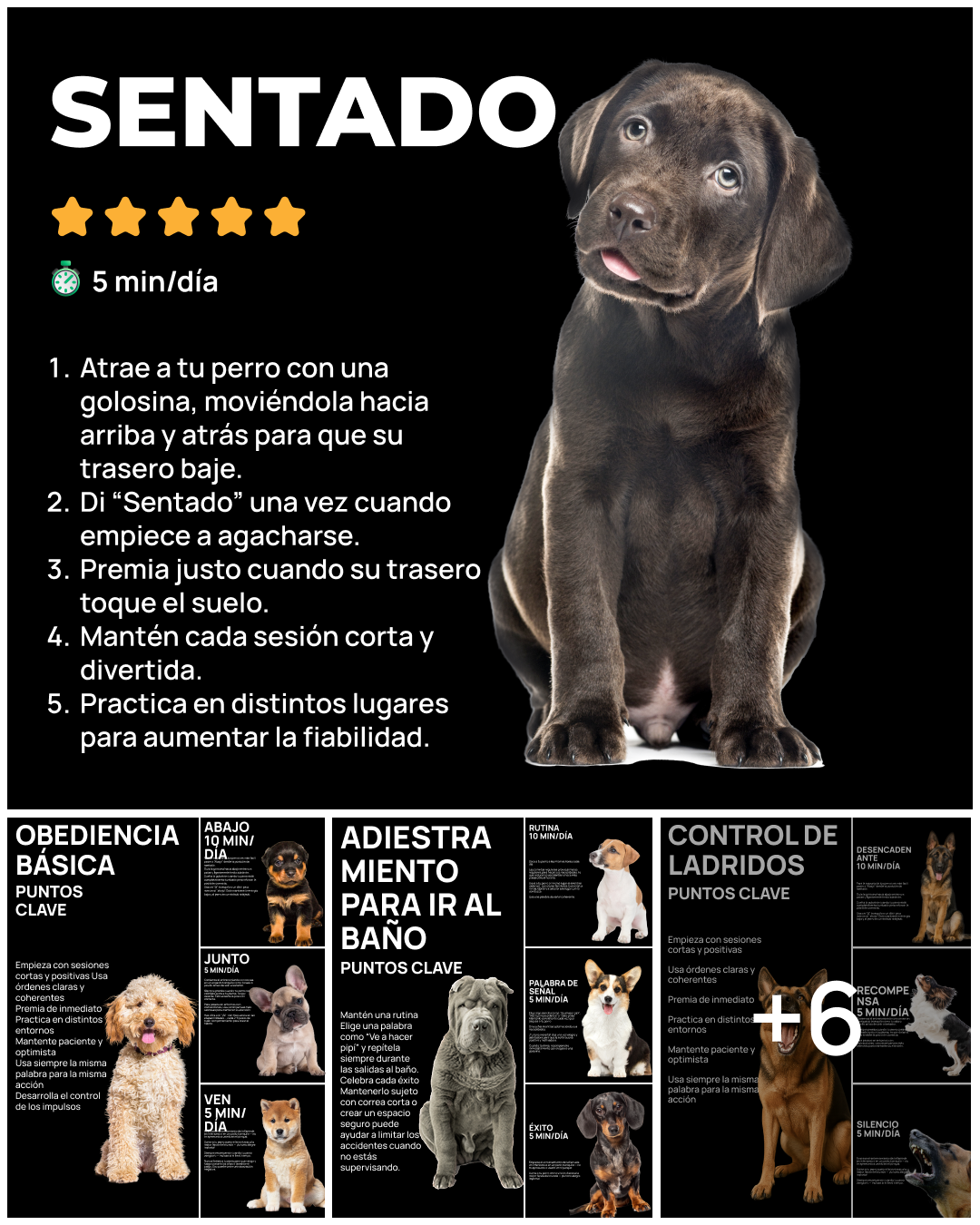 Dogo Facebook ad