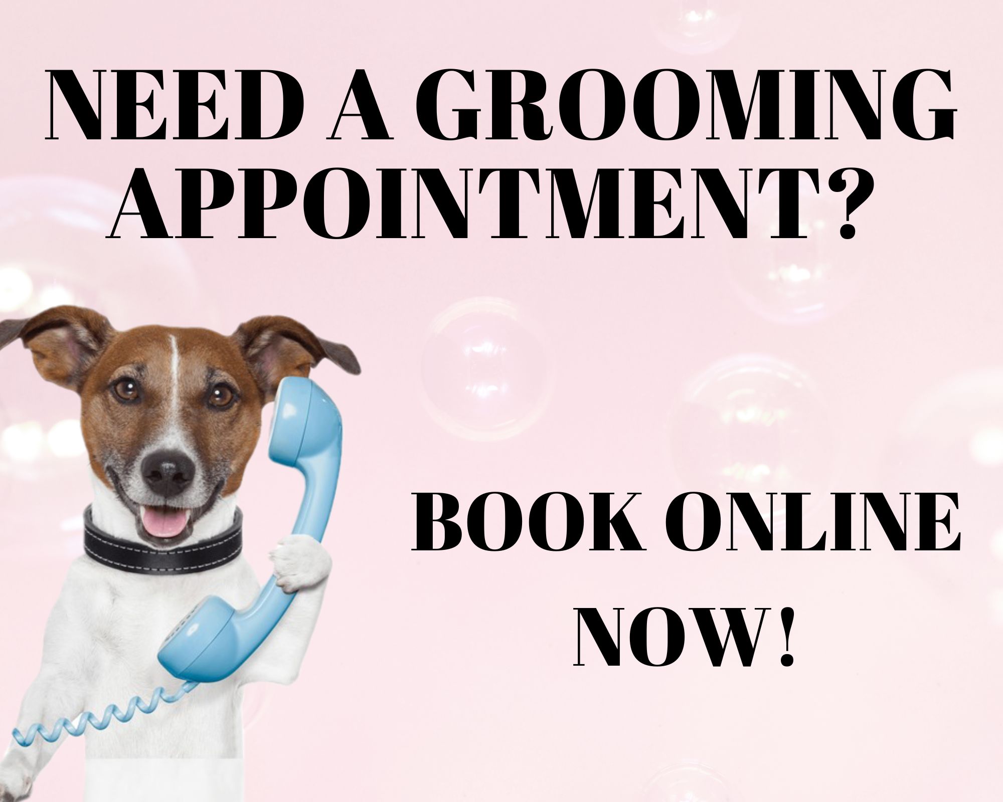 Fabulous Fido Facebook ad: Exciting News at Fabulous Fido!