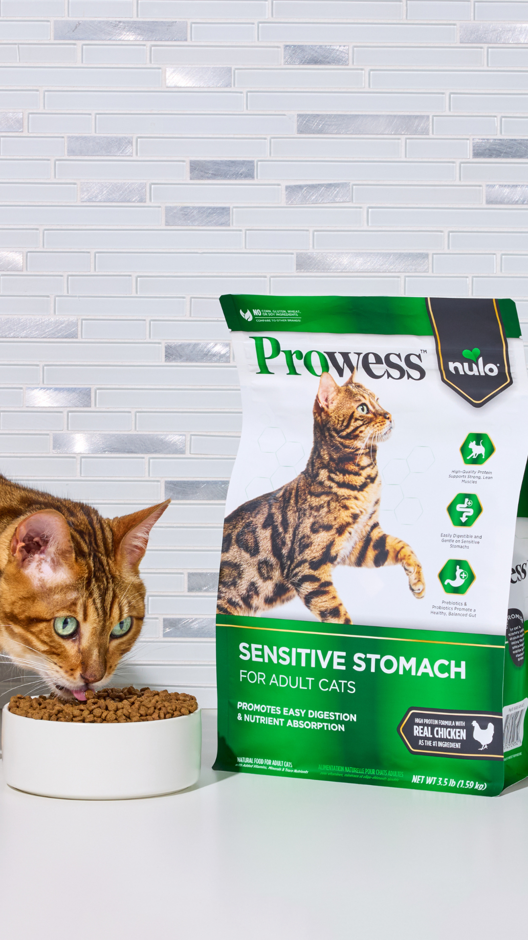 Petco Facebook ad