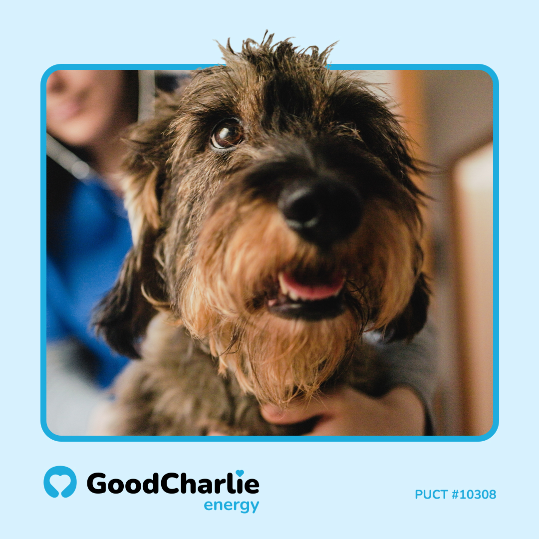 GoodCharlie Energy Facebook ad from Jun 1, 2026