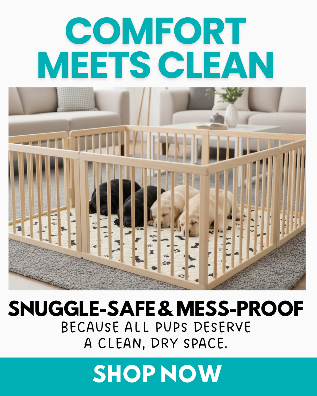 Potty Buddy Facebook ad