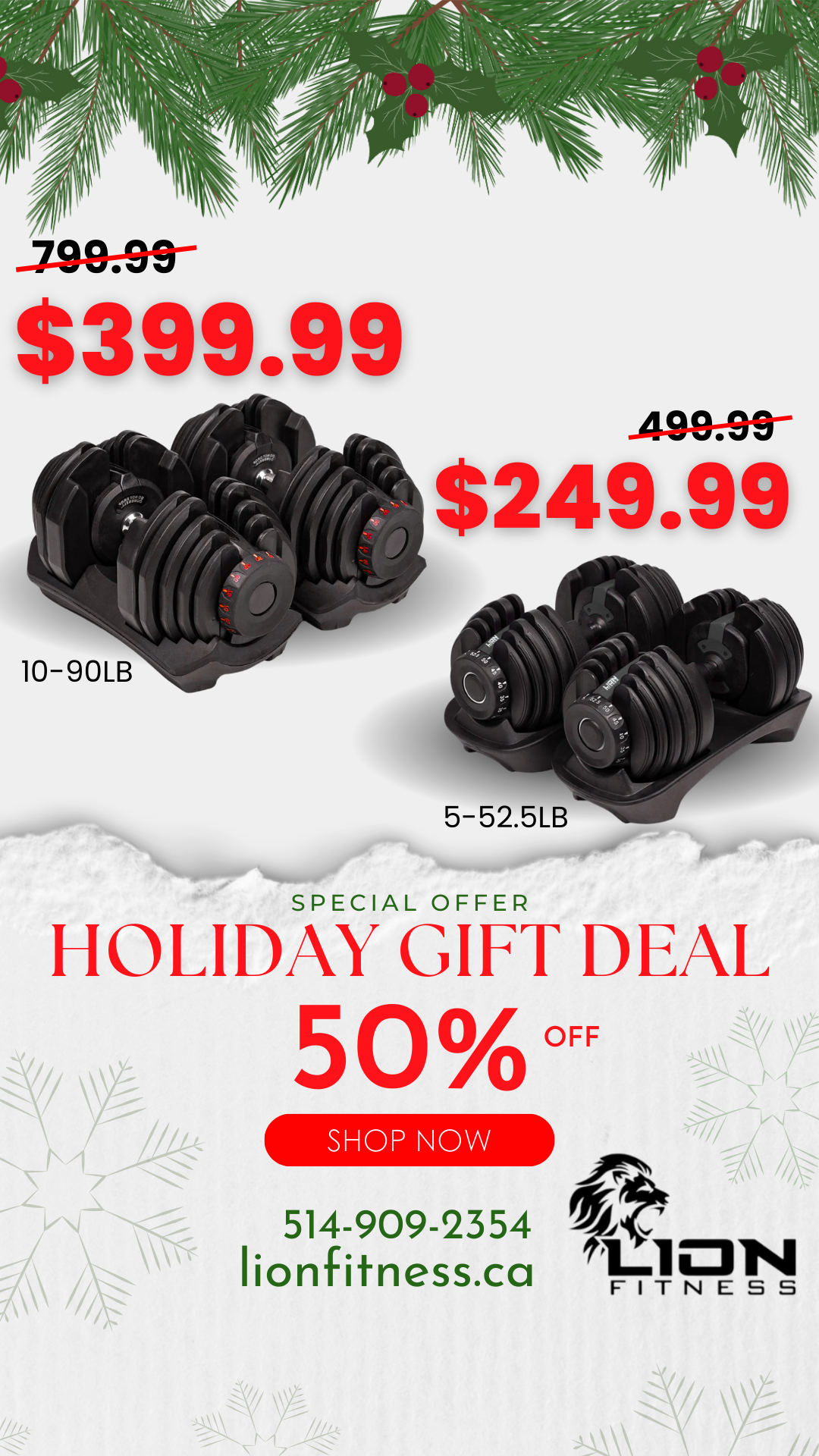 Lion Fitness Facebook ad