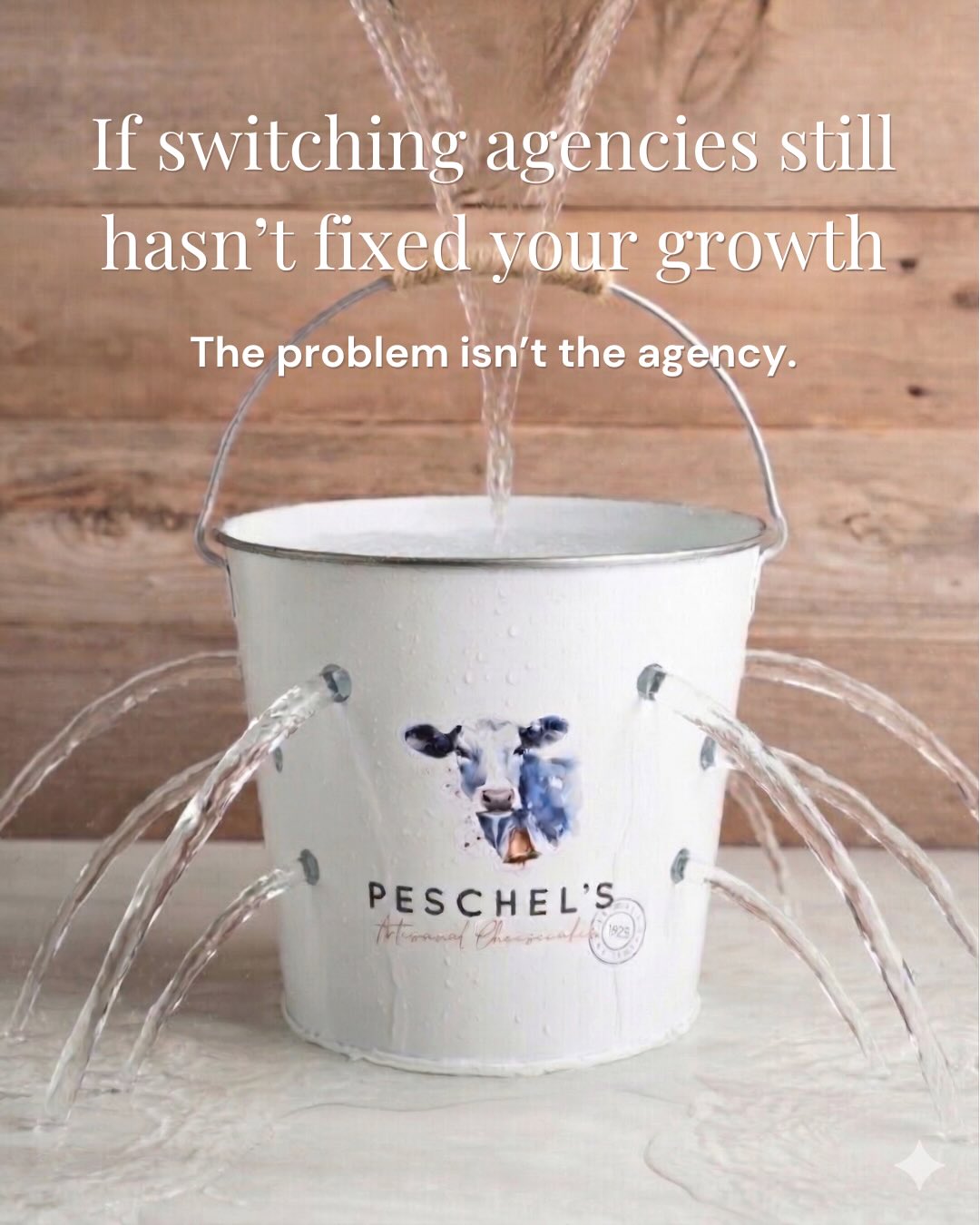 PeschelsEducation Facebook ad: Many scaling brands come to me after switching…