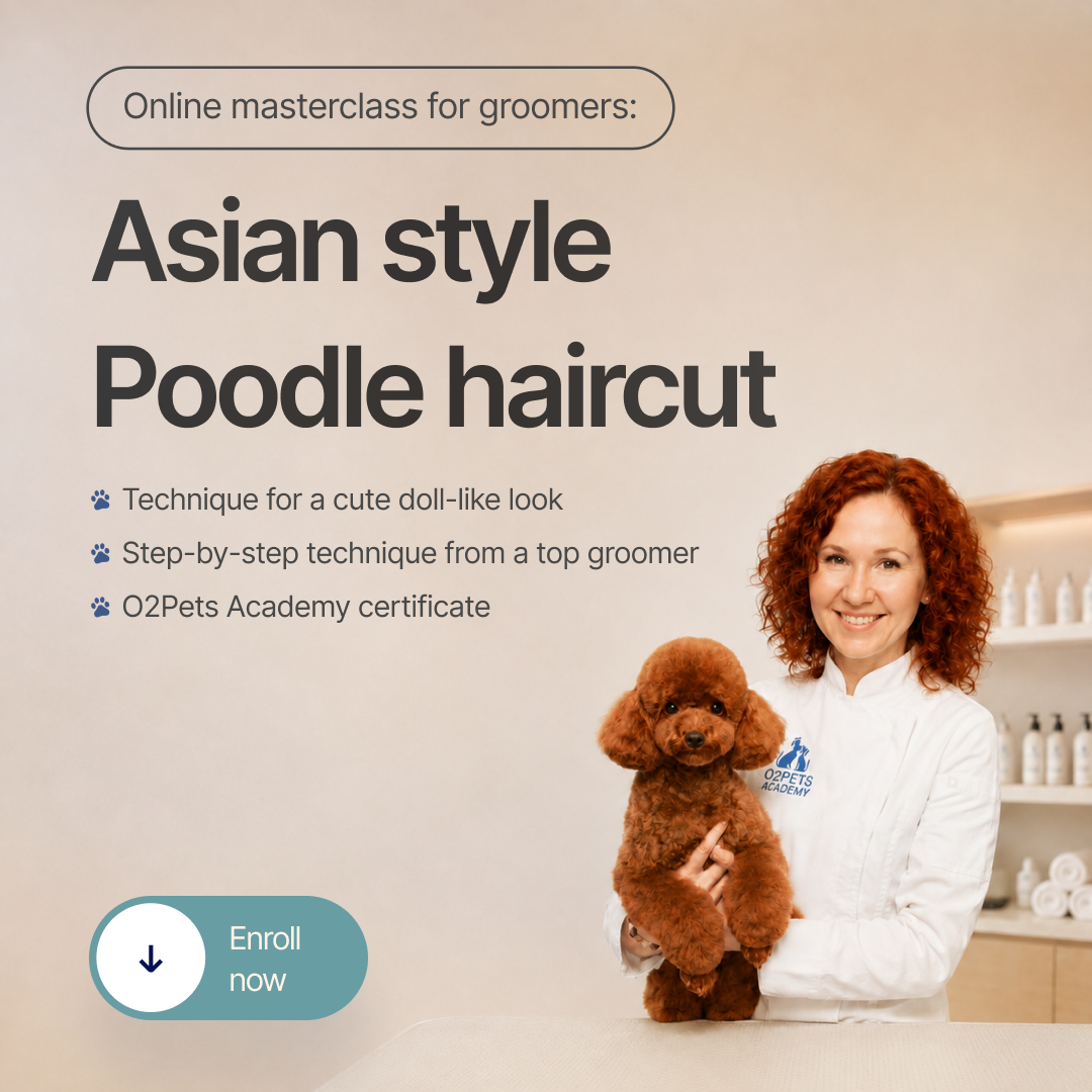 O2Pets Academy Facebook ad: Master the art of precision grooming