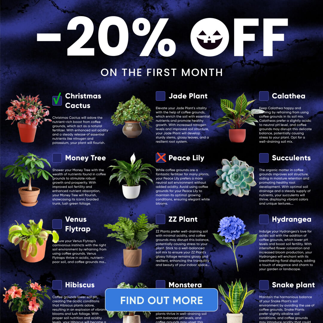 Chloe Bennett - Indoor Jungle Facebook ad: Take a Quiz Now!