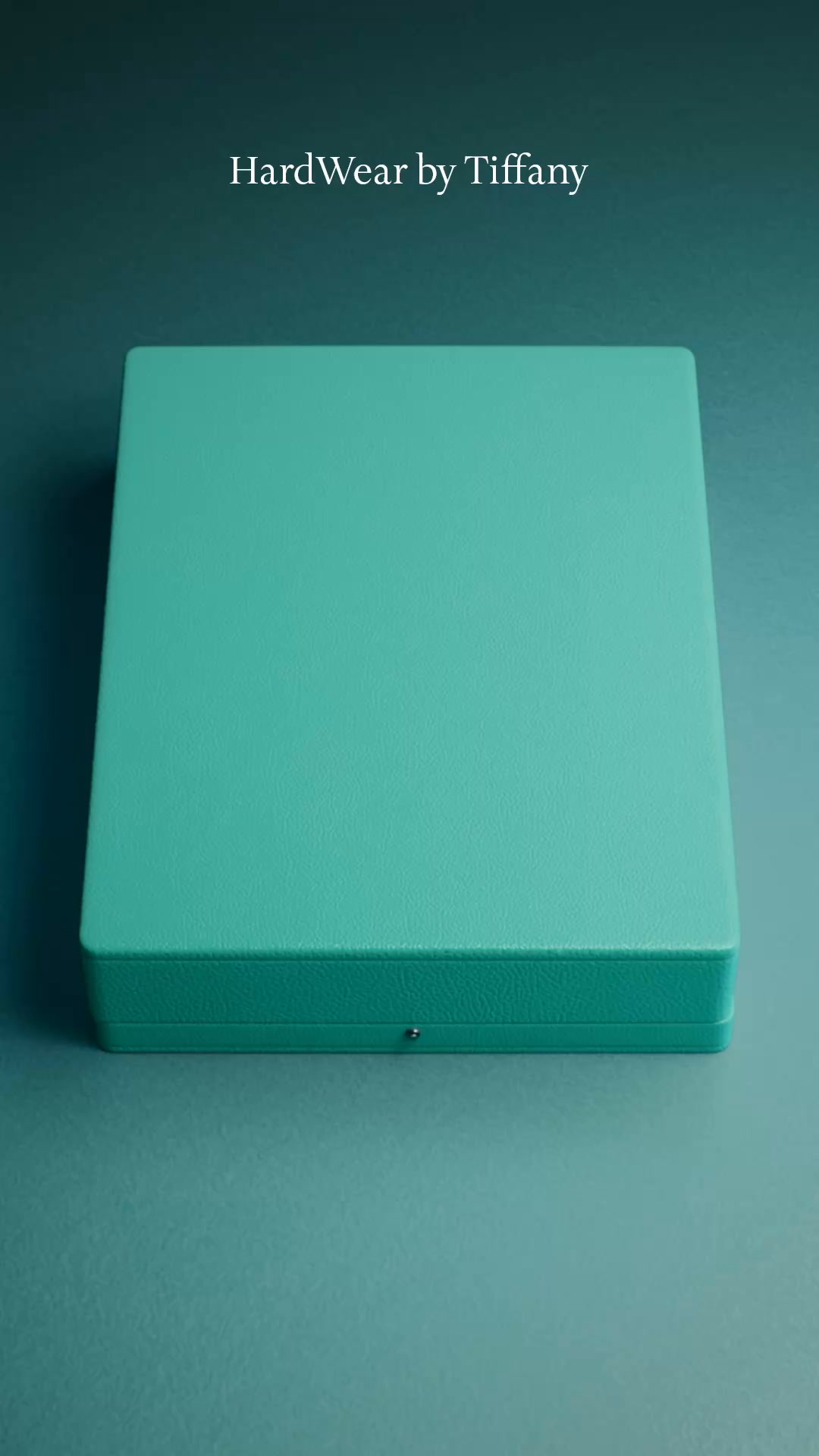 Tiffany & Co. Facebook ad: HardWear by Tiffany