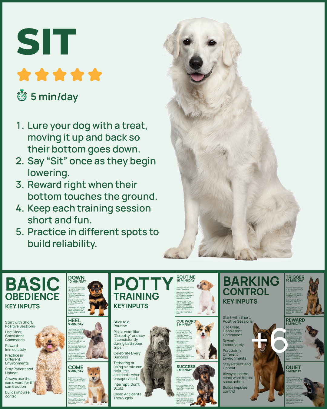Dogo Facebook ad