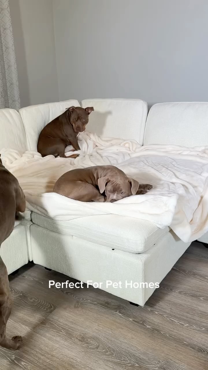 reignstormpit Facebook ad: Oversized Washable Covers Comfy
