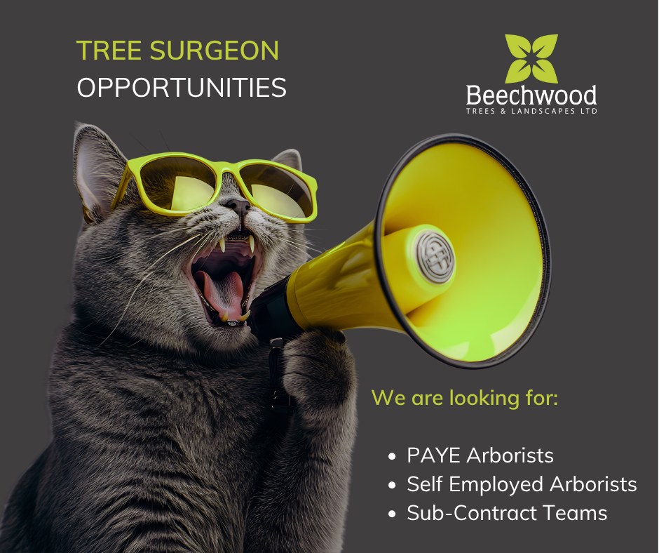 Beechwood Trees & Landscapes Ltd Facebook ad: Contact, Beechwood Trees & Landscapes