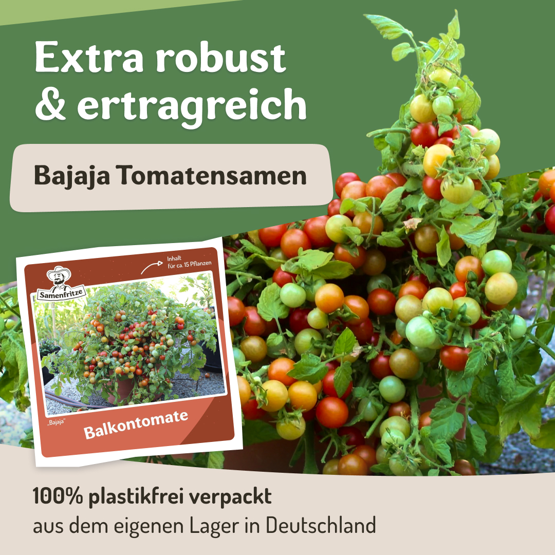 Samenfritze Facebook ad