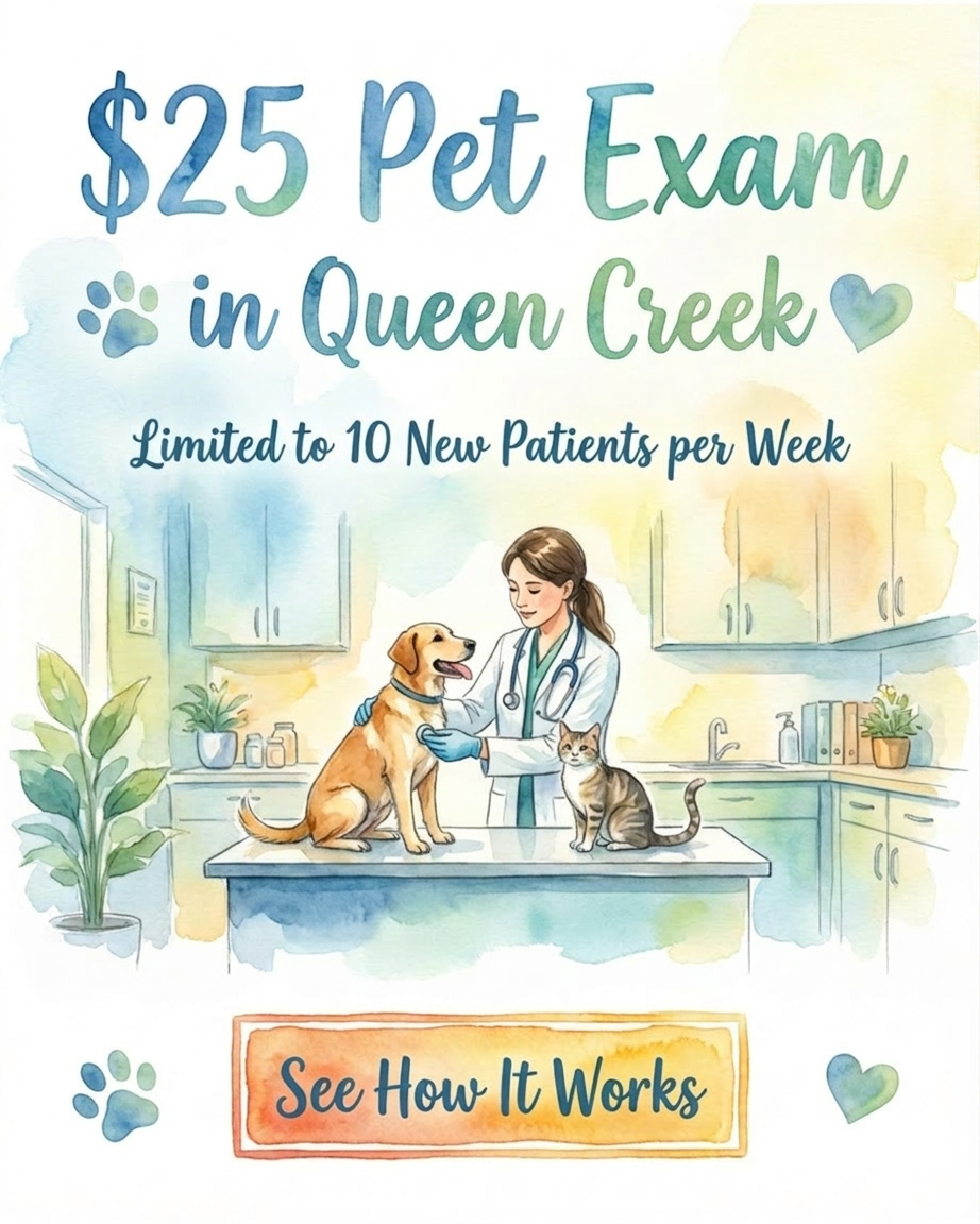 Revel Vet Facebook ad