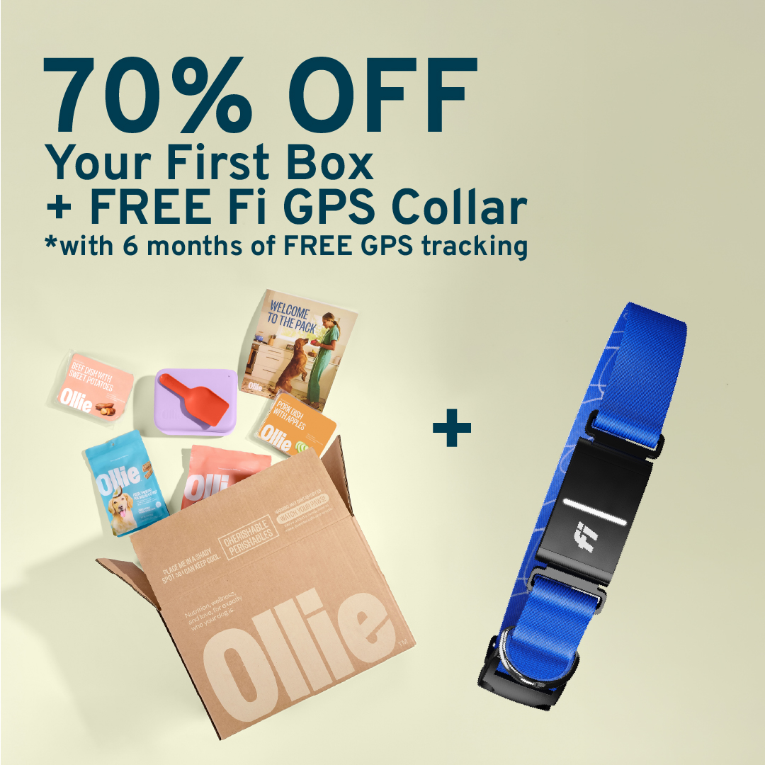 Primary Goods Facebook ad