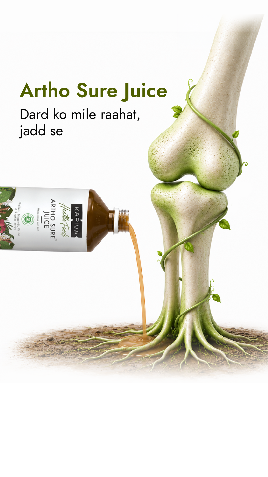 Chronic Health Solutions by Kapiva Facebook ad
