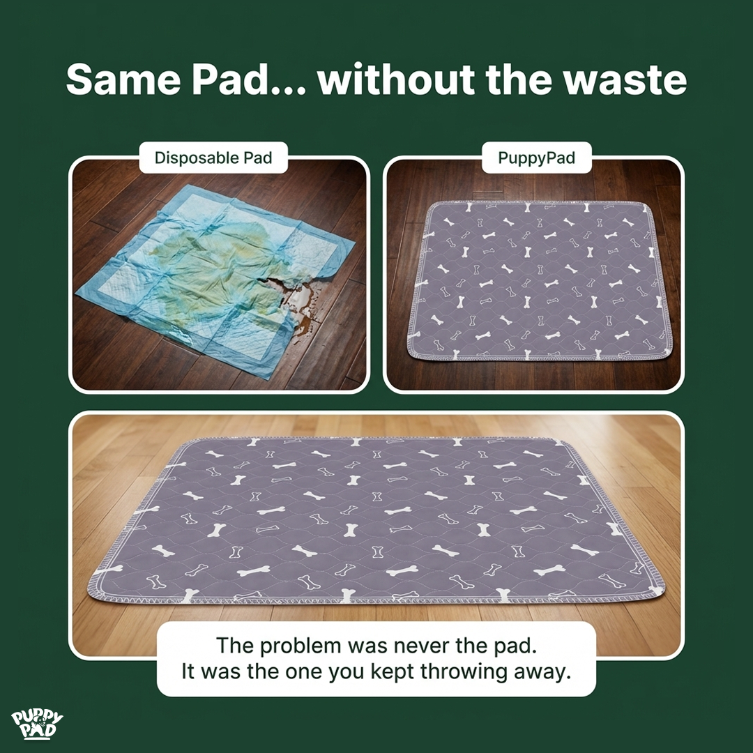 PuppyPad Facebook ad