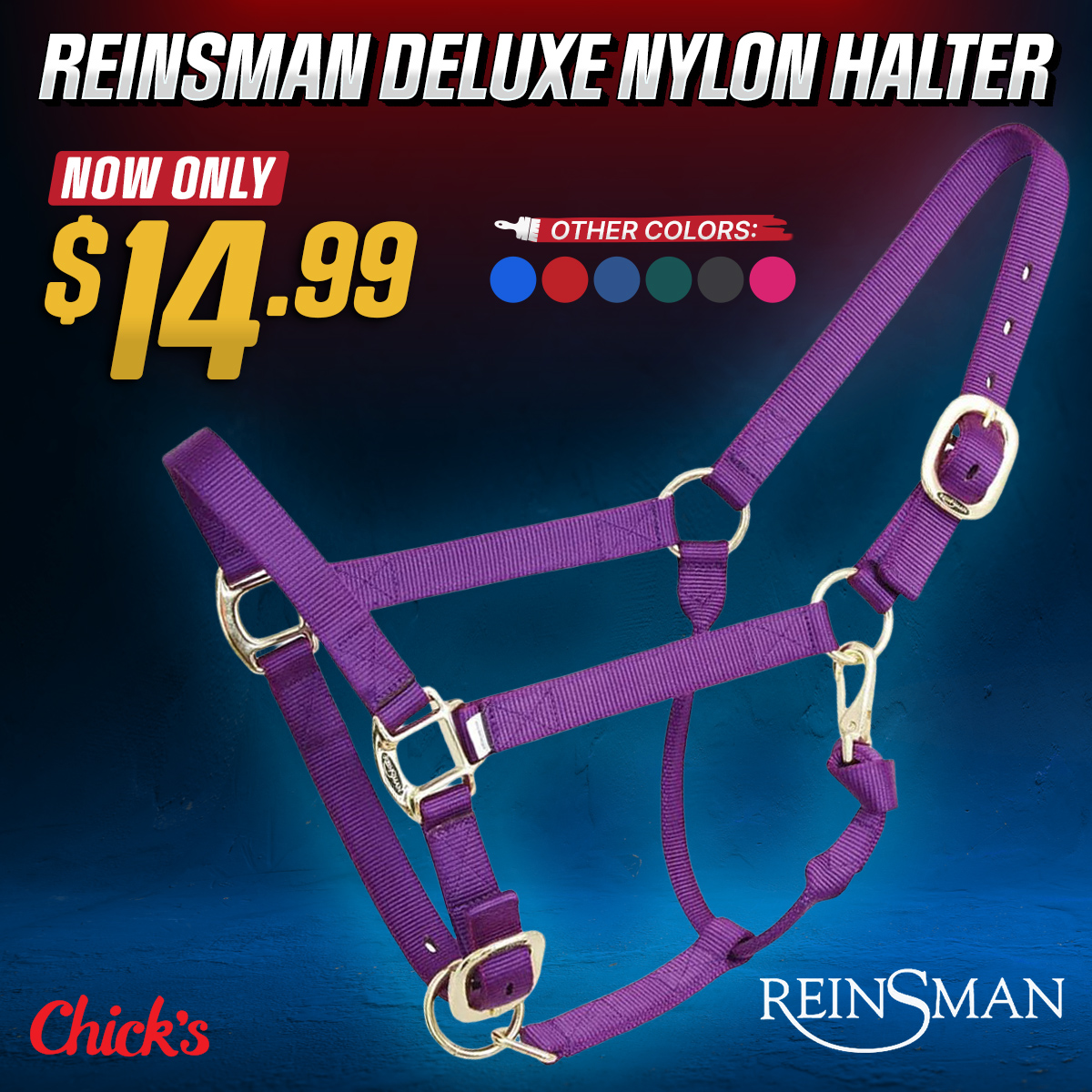 ChickSaddlery.com Facebook ad
