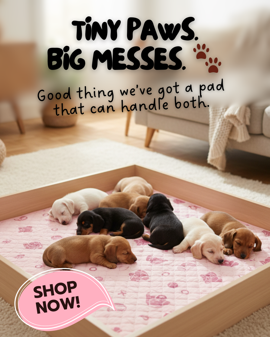 Potty Buddy Facebook ad