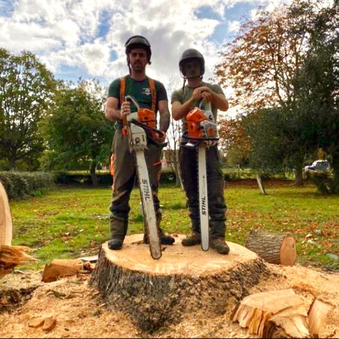Essex Tree Masters Facebook ad: HURRY! 20% OFF + FREE CLEAN-UP AND DEBRIS REMOVAL!