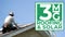3MG Roofing Solar Services