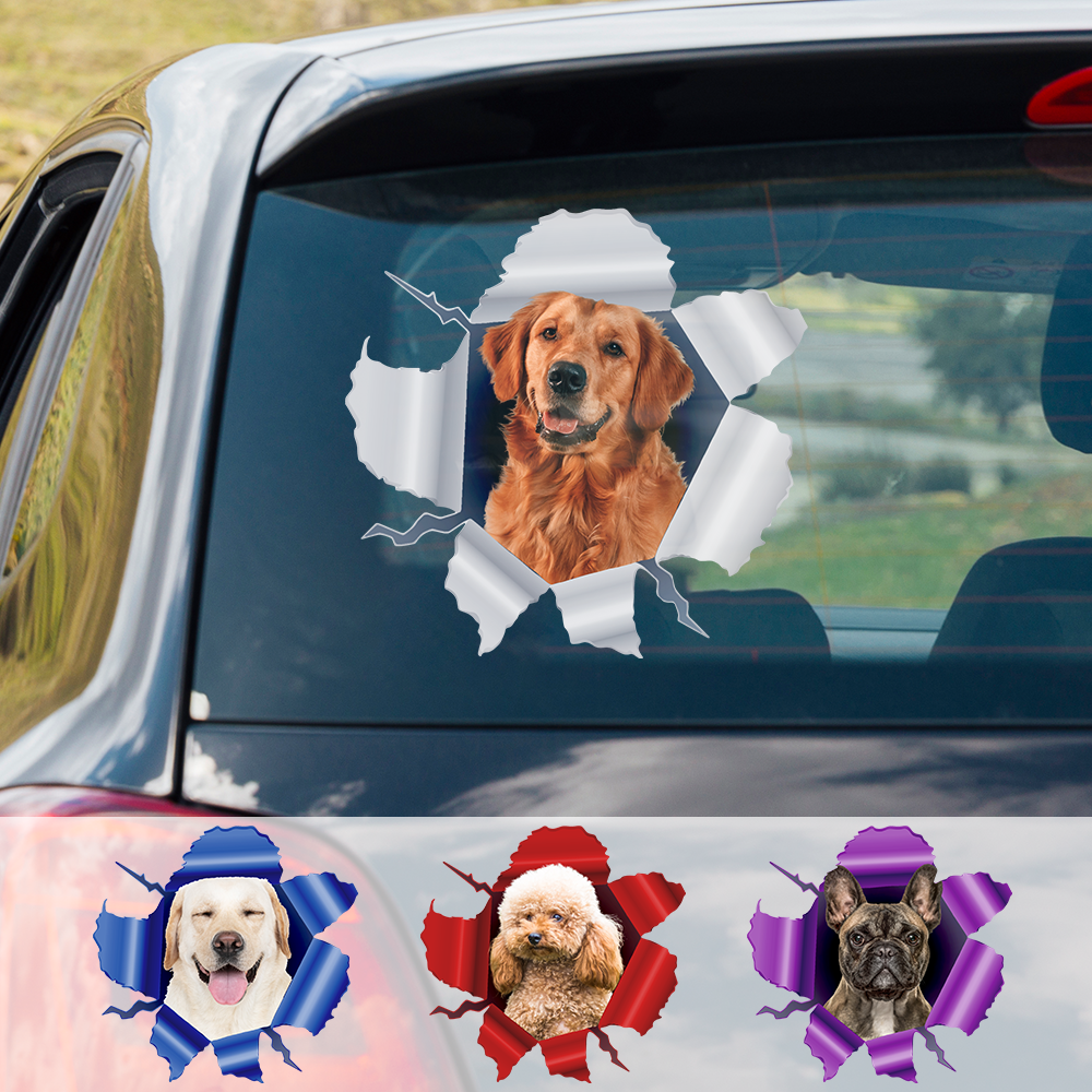 Pet Printed Facebook ad: Idea de regalo para el Día del Padre