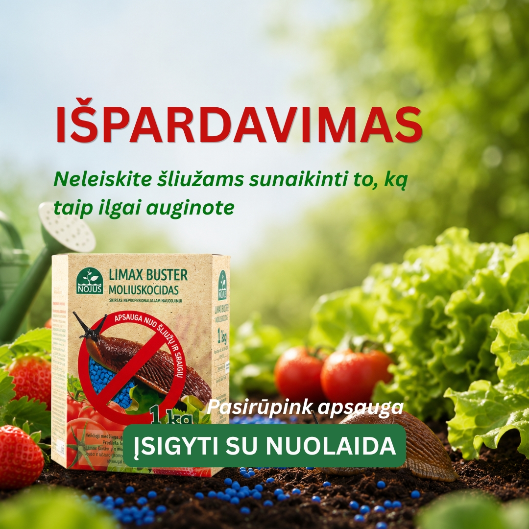 Nojaus sėklos Facebook ad