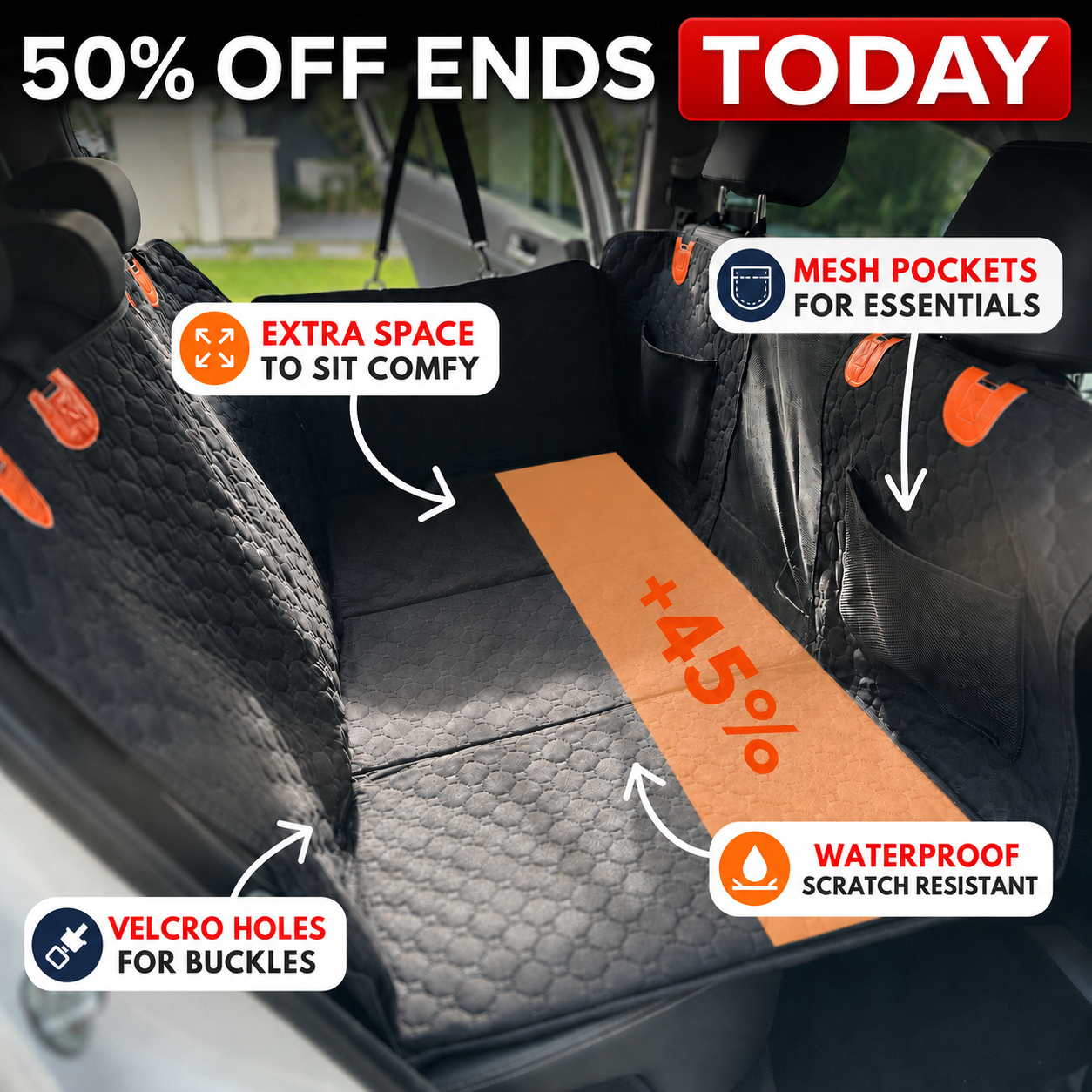 Pet Ride Facebook ad