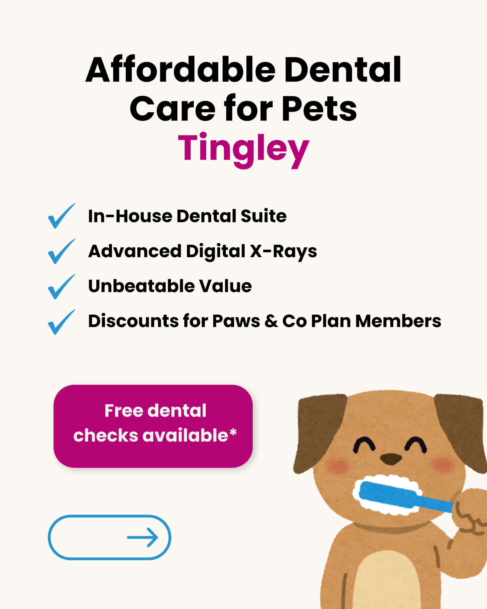Paws & Co Veterinary Centre Facebook ad: Keep your pet’s smile healthy and sparkling