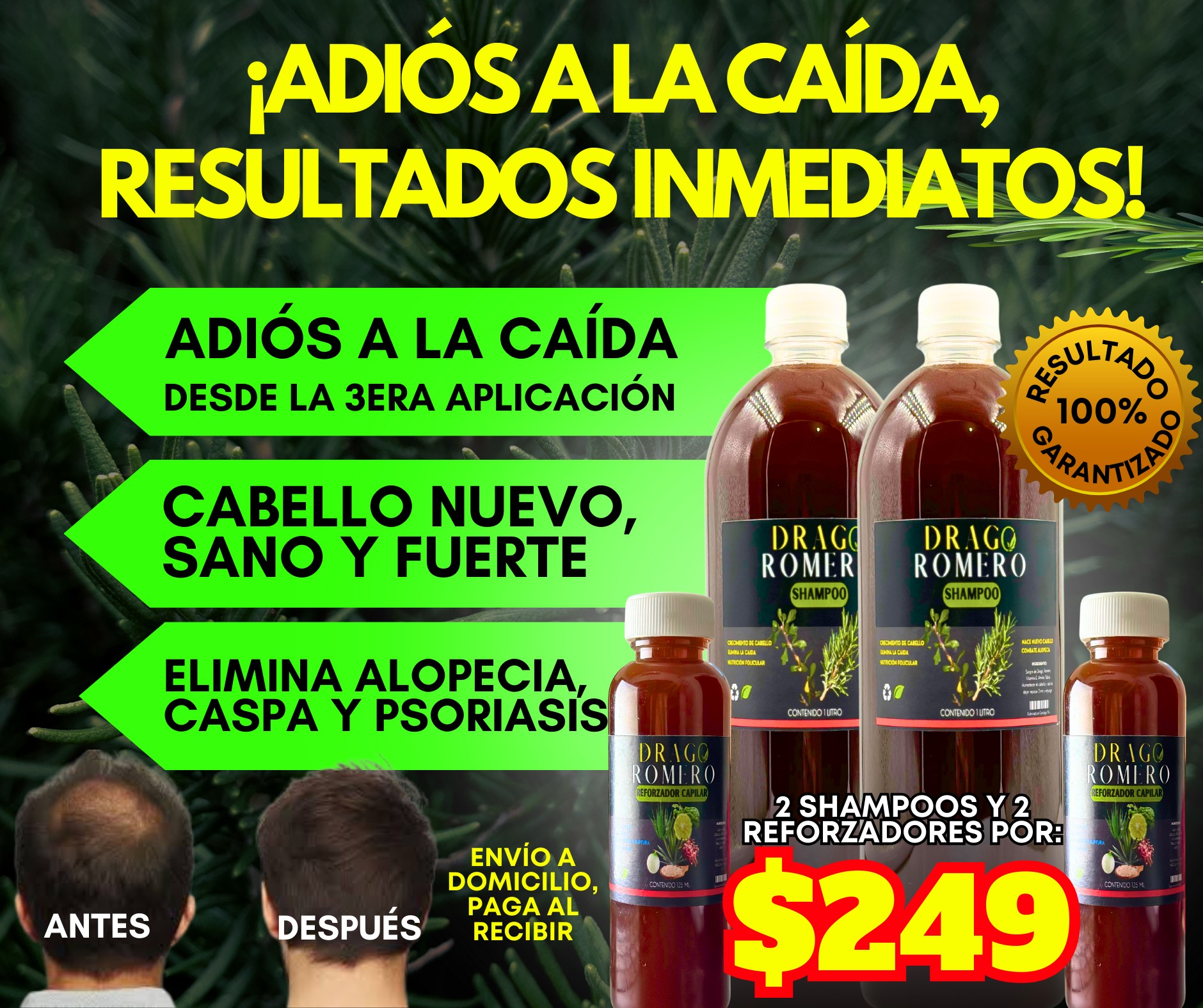 Distribuidora Natural Santa Anna Facebook ad: Drago Romero Tratamiento Capilar activa el folículo piloso…