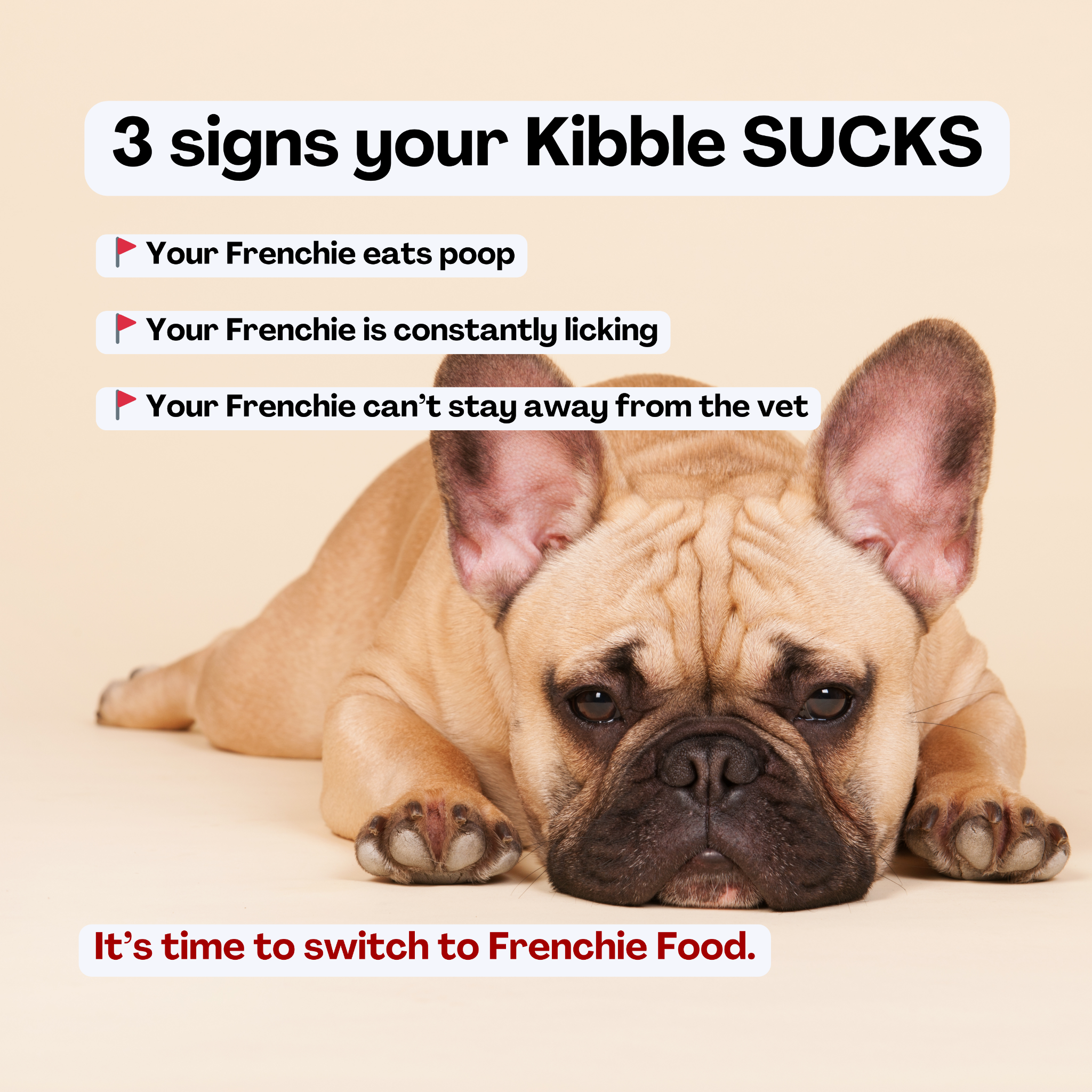 Fresh Frenchie Company Facebook ad
