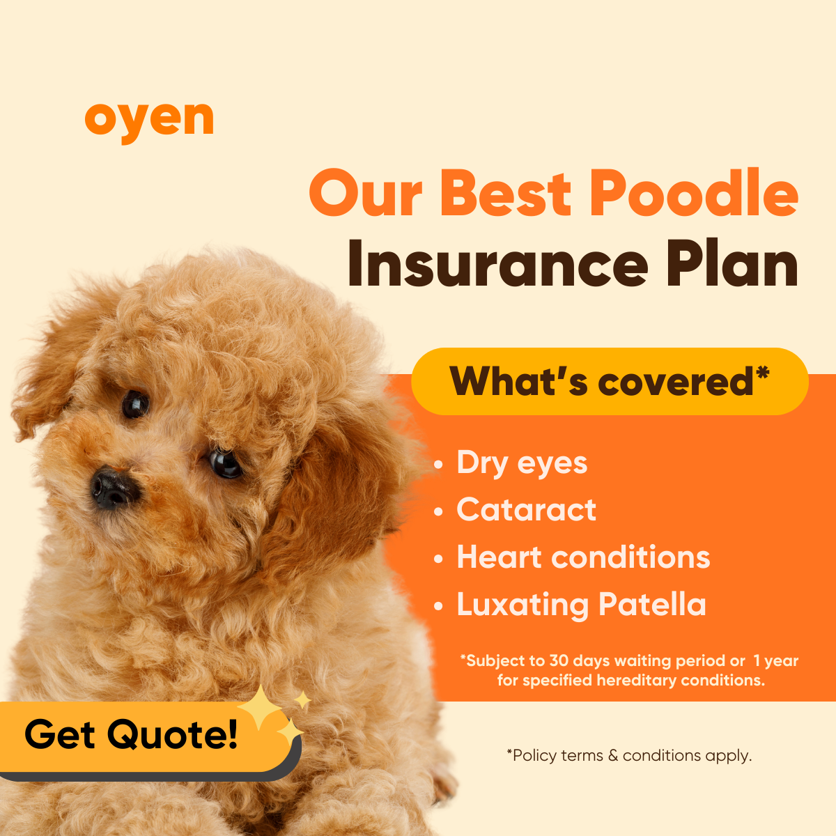 Oyen Pet Insurance & Takaful Kucing Facebook ad