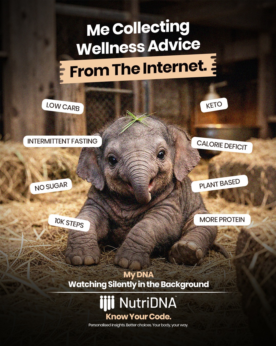 Strand Genomic Wellness Facebook ad