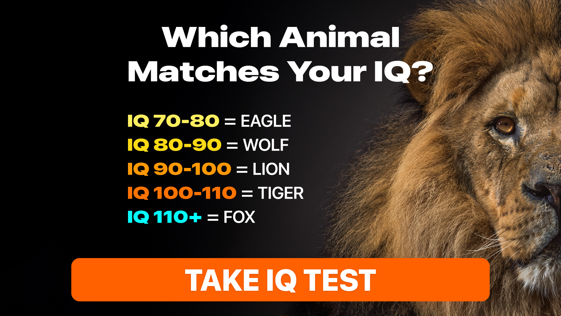My IQ Facebook ad