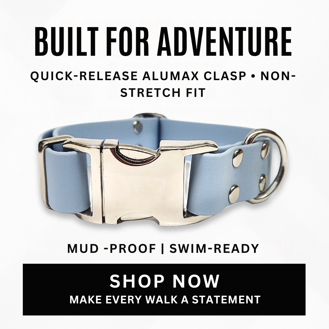 Collared Creatures Facebook ad