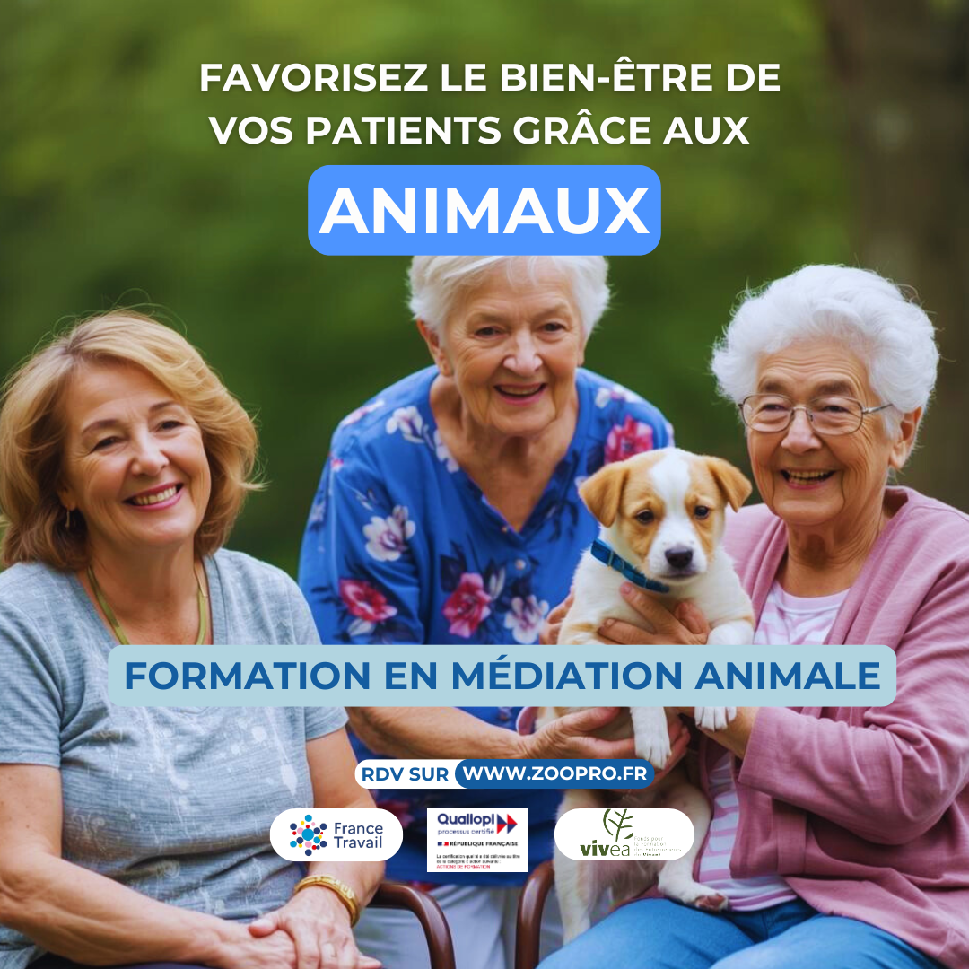 Zoopro - formations sur les animaux Facebook ad