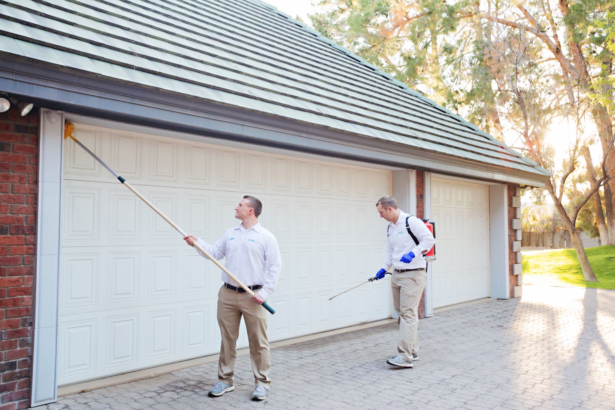 Simply Green Pest Control Facebook ad