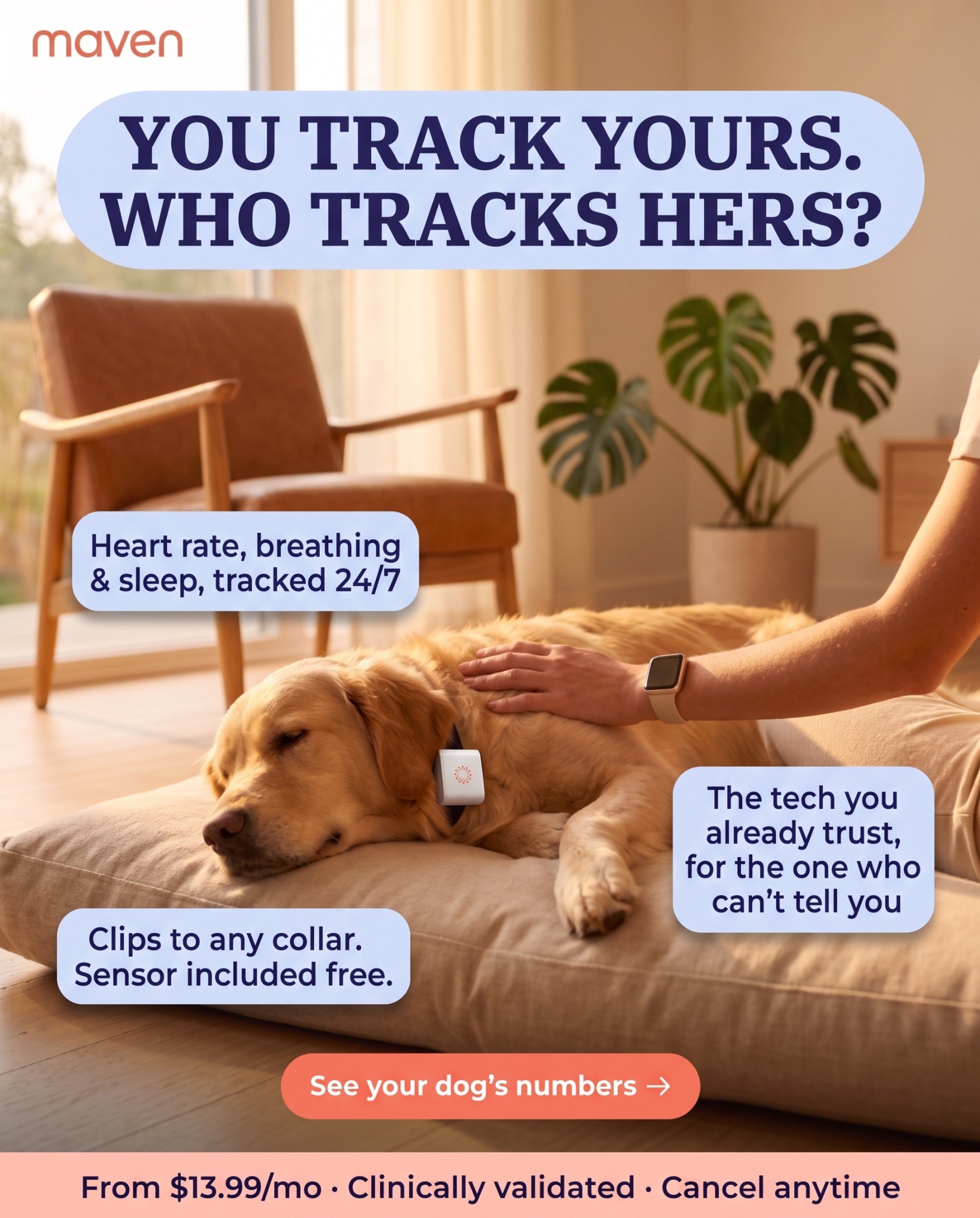 Maven Pet Facebook ad