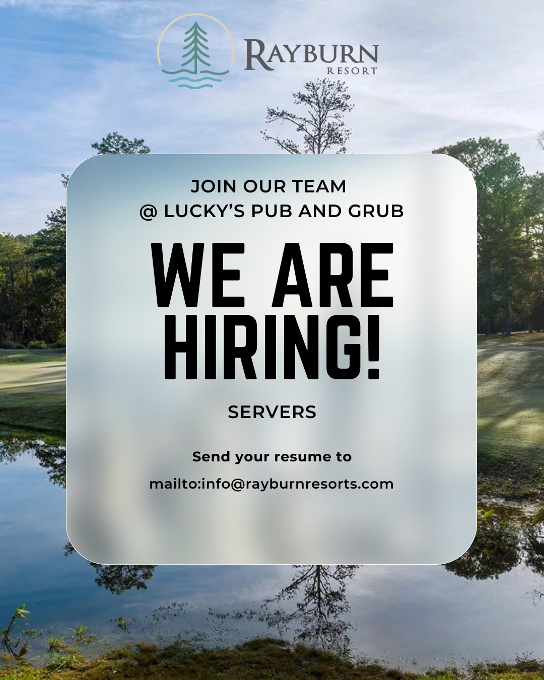 Rayburn Resort Facebook ad: Job Overview