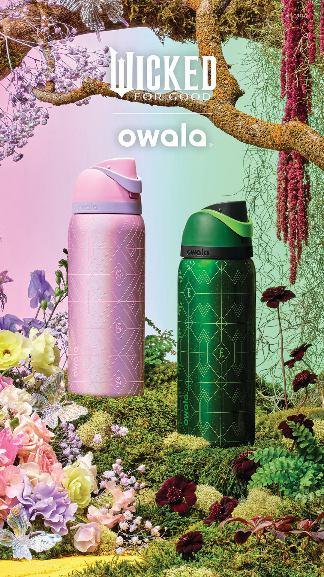 Owala Facebook ad