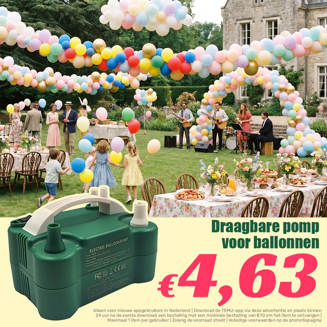 Temu Netherlands Facebook ad