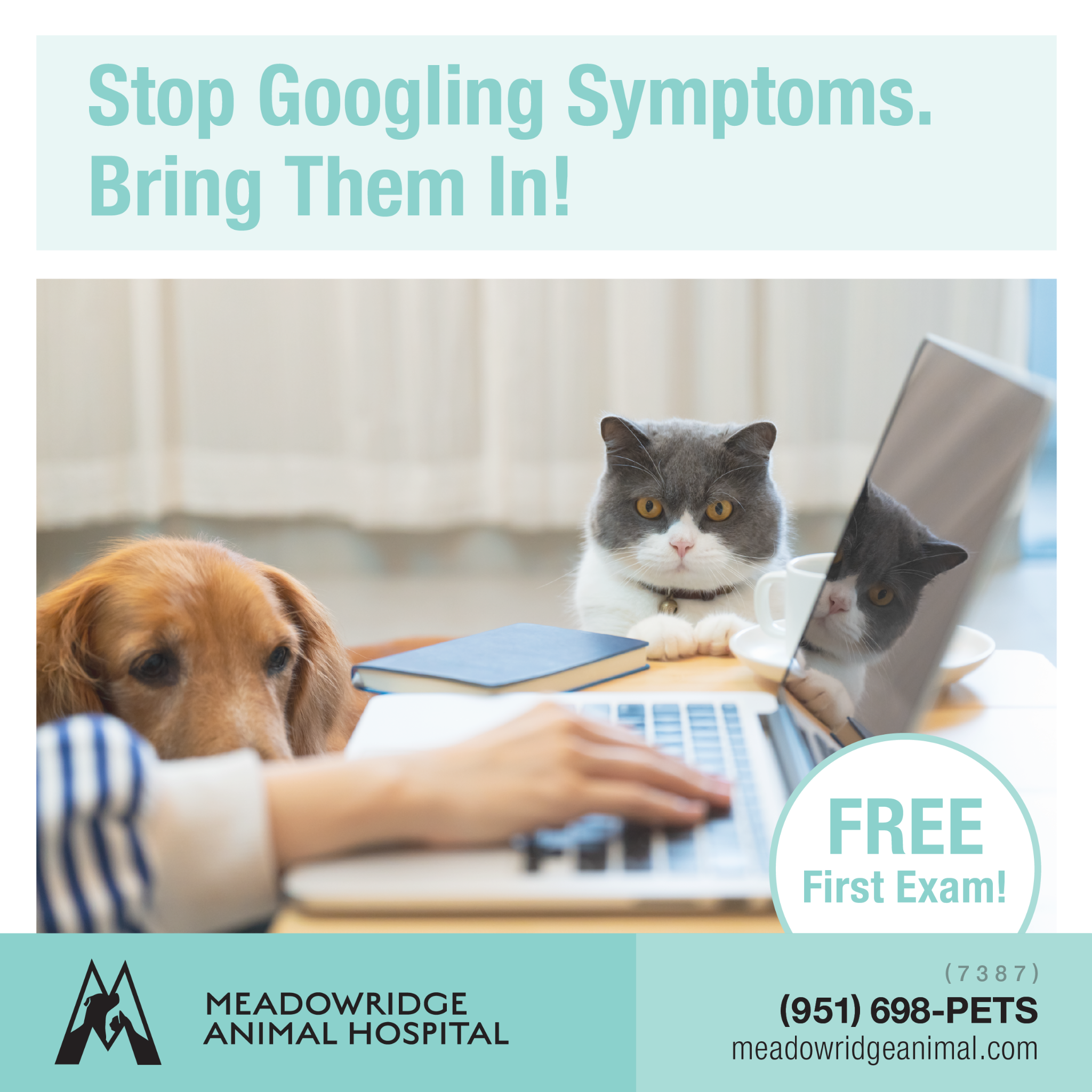 Meadowridge Animal Hospital Facebook ad: Get A Free First Exam