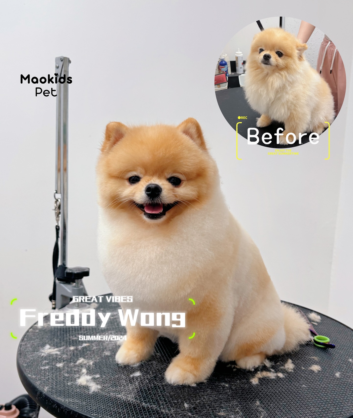 Maokids Pet Salon Facebook ad