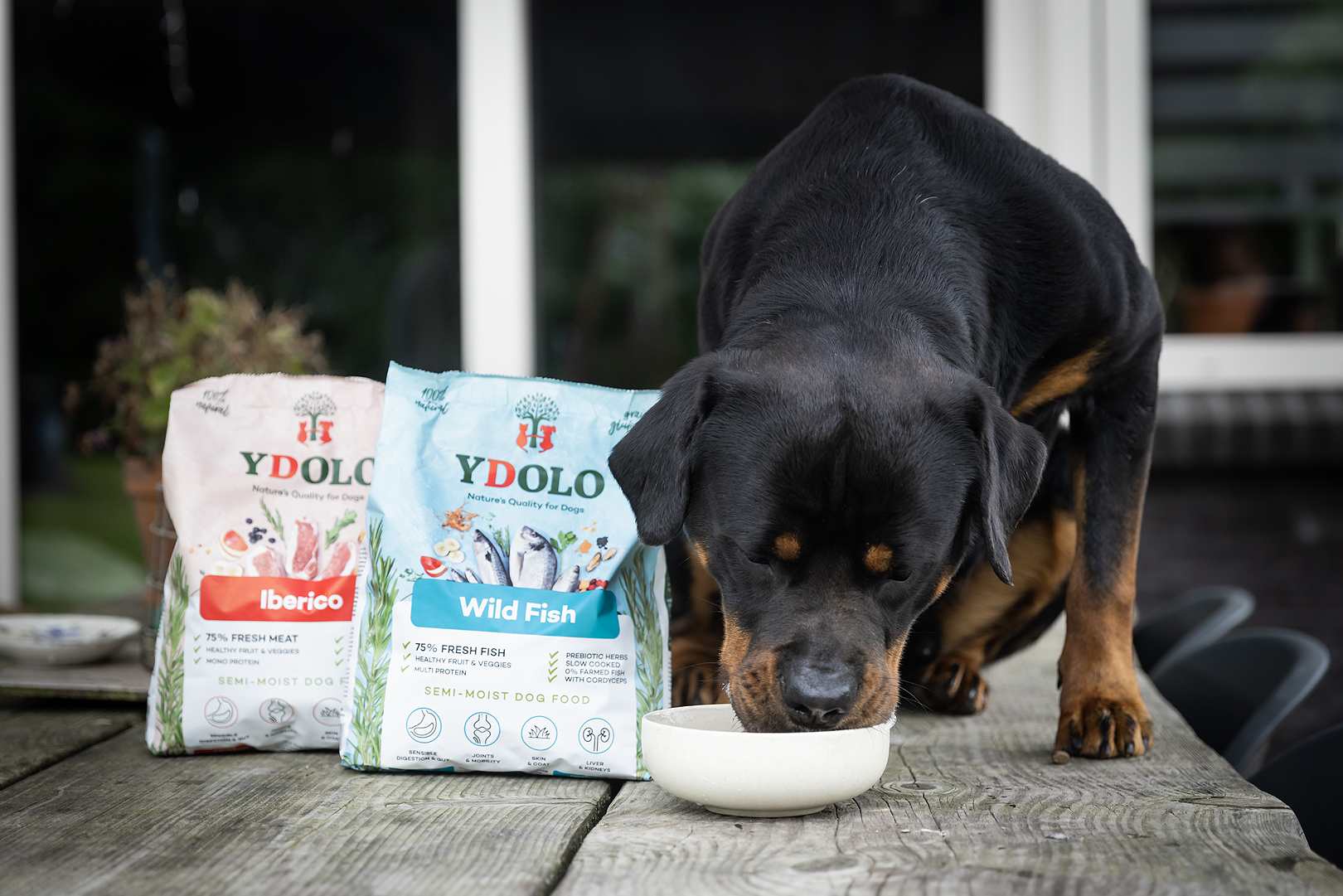 YDOLO Facebook ad: YDOLO Health & Pure Hondenvoer